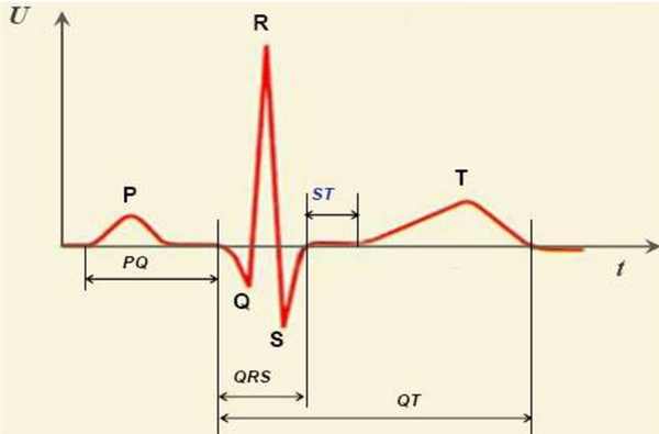 Обозначение зубцов экг p q r s t ввел